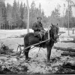 Зимняя лесозаготовка в 1950-е годы.